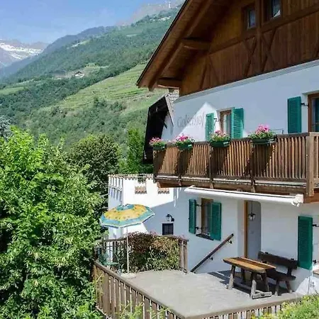 Ferienwohnung Golserhof 公寓